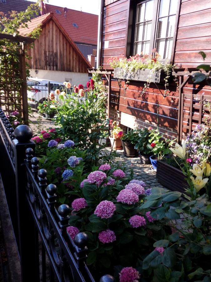 Fewo Carmen Apartamento Wernigerode Exterior foto